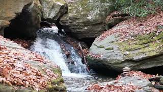 Fall colors 2023 Boone NC
