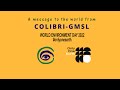 COLIBRI-GMSL World Environment Day 2022 message
