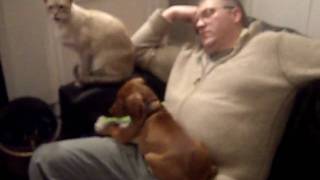 CIMG0645.AVI