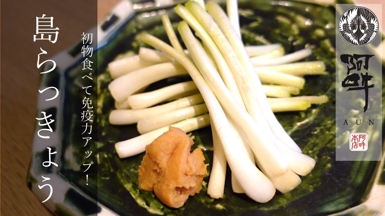 初物食べて免疫力アップ 島らっきょう Youtube