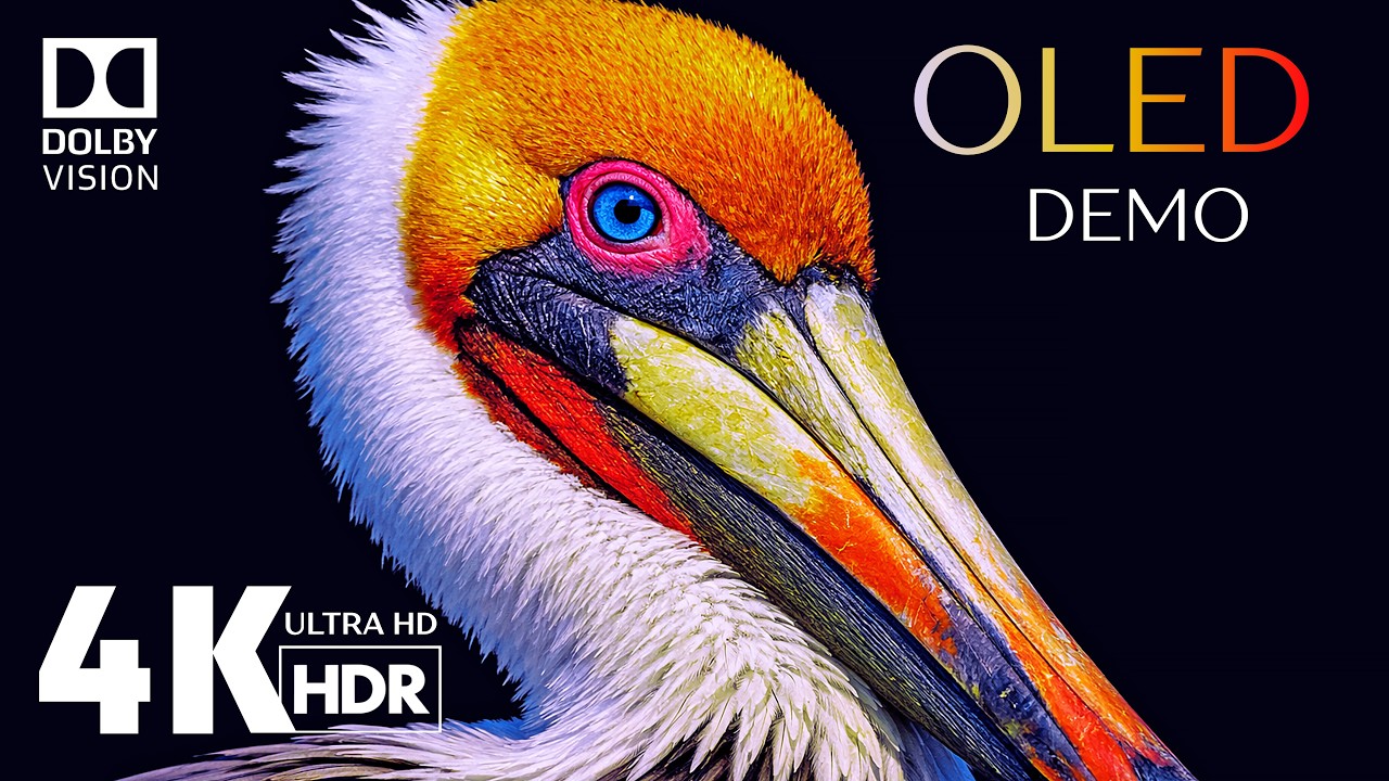 The Ultimate Visual Experience in 4K HDR