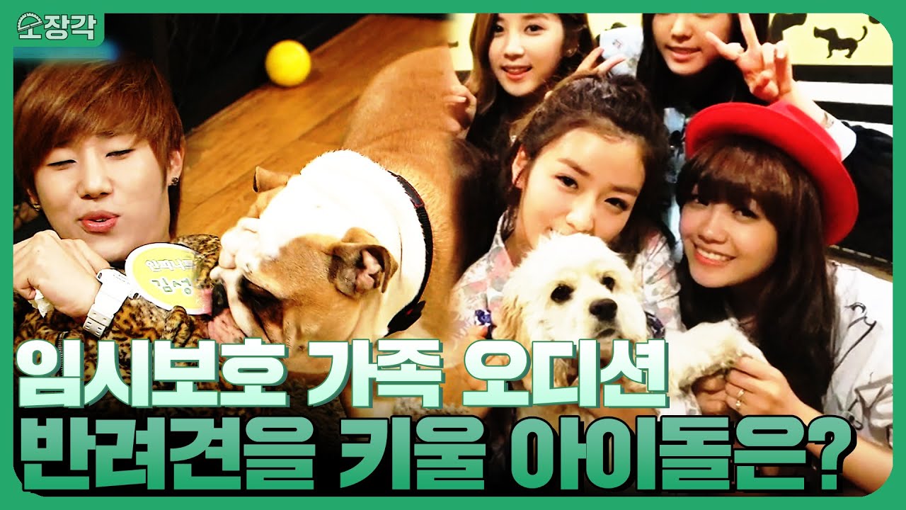 반려견들과 함께할 임시보호 가족은 누구?! 우리.. 친해질 수 있을까?? 오디션을 통해 반려견의 '가족'이 '탄생'된다! | KBS 111112 방송