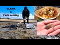 CLAMS & FLATFISH - Cockling & Push Netting , Delicious Steamed Clams