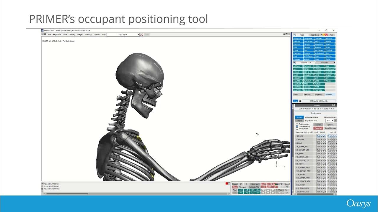 Expert LS-DYNA tools  - Human Body Model positioning