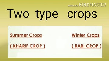 GM STD 4 SUB EVS GUJLISH CH 14 RAJU FARM PART 3 720p