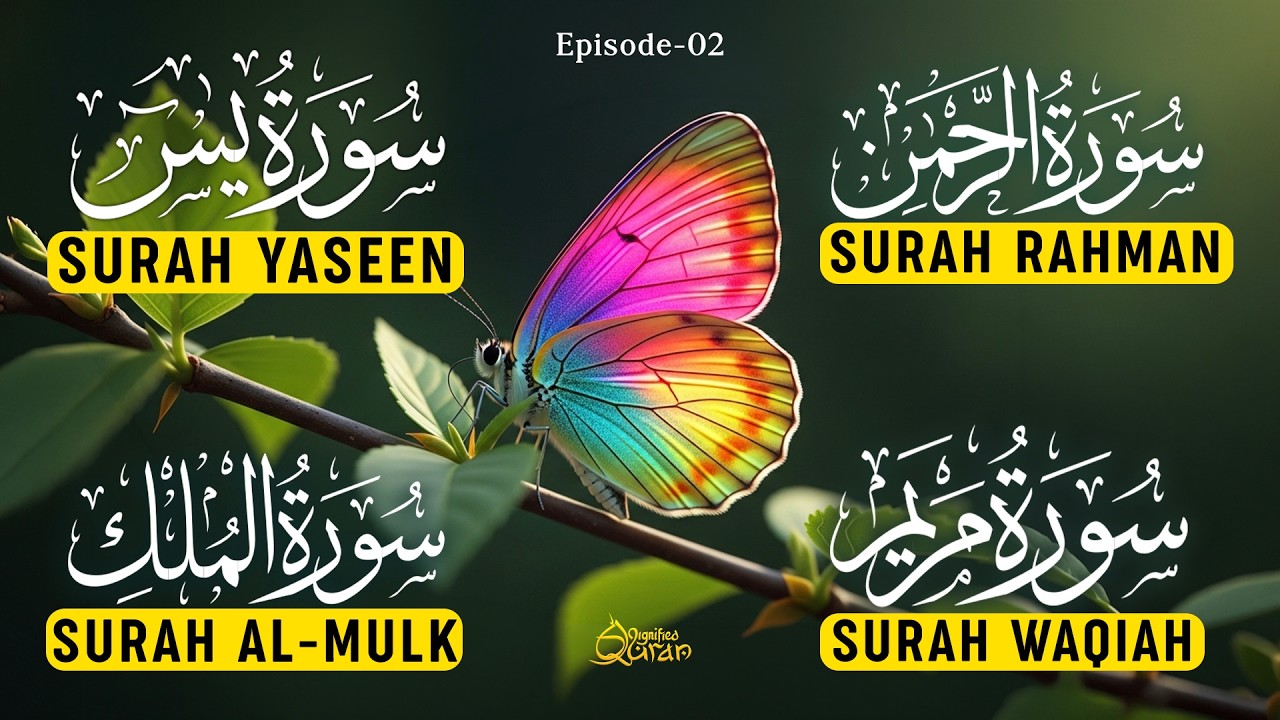 Magical Surah Yaseen (Yasin) | Surah Rahman | Surah Waqiah | Surah Mulk | Alaa Yaseer | EP02