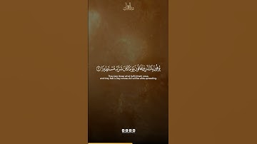 Surah Al Insan Verse 5-8 | سورة الإنسان الآية 5-8 | Abdun Nasir Khan