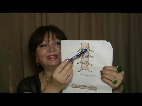 საოცრებათა სამყაროში - ტიბეტური  ვარჯიშები