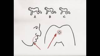 ムカデ人間の作り方②本編映像