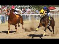 Carreras de Caballos en Nogales 17 de Octubre 2021