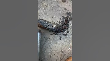 Leaking galvanized pipe #thepeacefulplumber