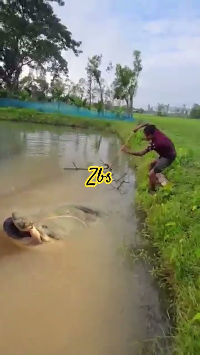 Prindapan Auto man was shocked when he was fishing for jumbo fish and instead a person with menta...