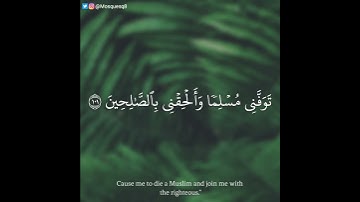 بندر نعمان - سورة يوسف || رب قد آتيتني من الملك وعلمتني من تأويل الأحاديث