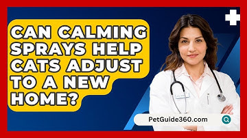 Can Calming Sprays Help Cats Adjust To A New Home? - PetGuide360.com