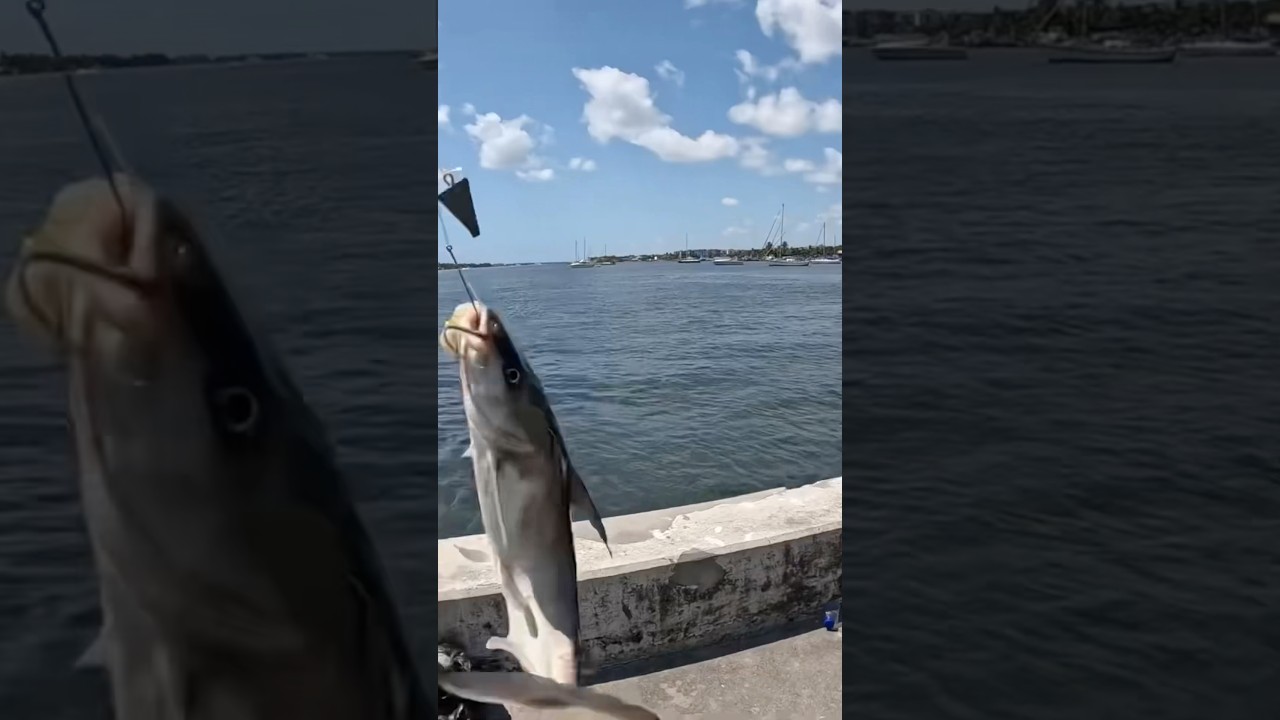 🔥 WIFE HOOKS A MONSTER at Lantana Inlet… But Wait Until You See What It Really Was! 😱🎣
