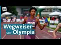 Leichtathletik weltelite zu gast in rehlingen  das pfingstsportfest 2024 in voller lnge