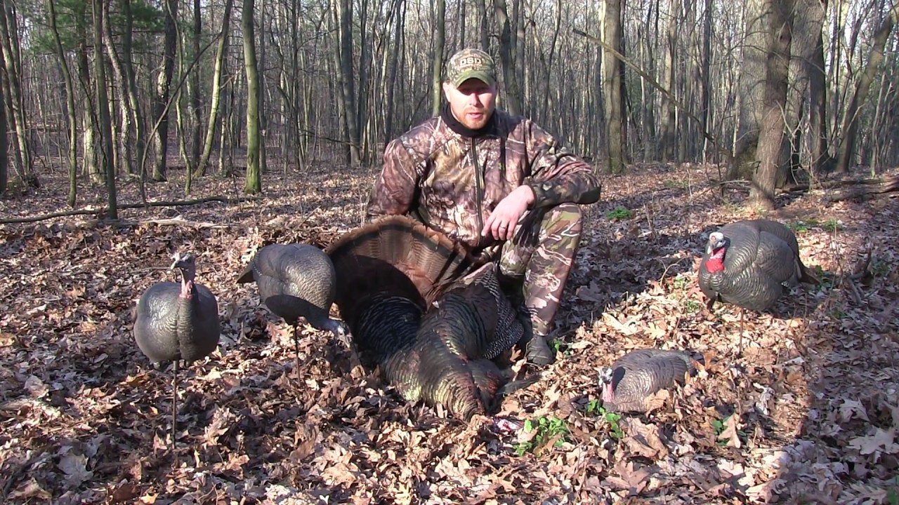 Ontario Turkey Hunting 2018 YouTube