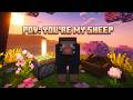 POV: You're My Sheep