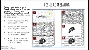 Fossil Correlation Answer