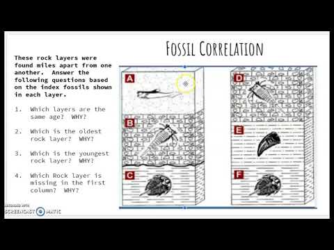 Fossil Correlation Answer