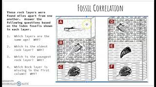 Fossil Correlation Answer