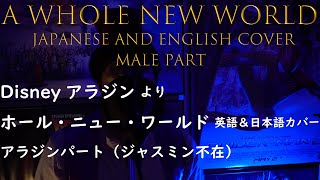 ホール ニュー ワールド 日本語 英語 カバー アラジンパート A Whole New World Japanese And English Cover Male Part Youtube