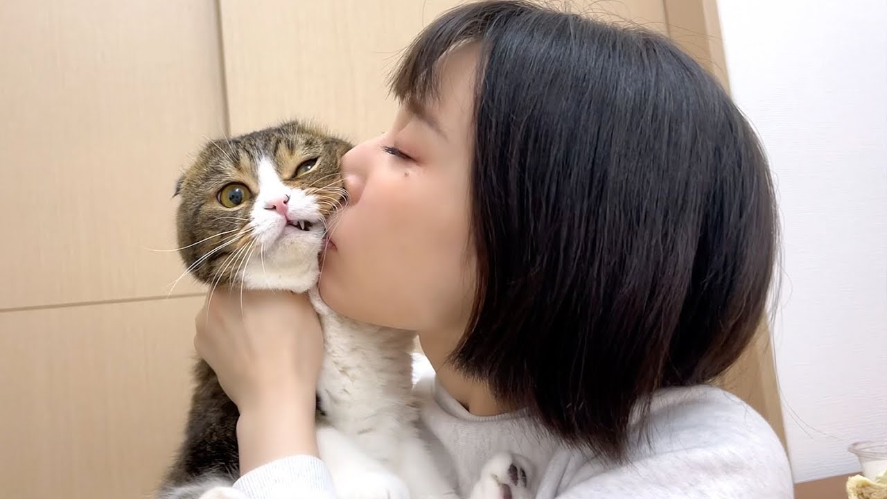 酔っぱらいのママに猫吸いされた親子猫w - YouTube
