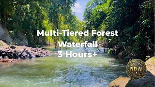 Multi-Tiered Forest Waterfall | 3 Hours Real Nature Ambience (NO AI) | Nordic Soul