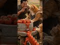 Kucing bekerja membuat saos❗ #ytshorts #cat #cat #imut #funny