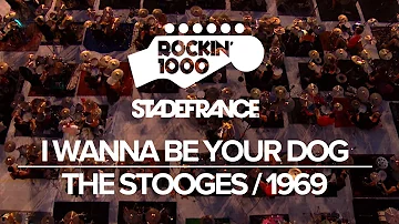 I Wanna Be Your Dog | Stade De France, Paris 2019