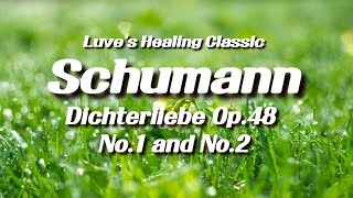 [1 hr 힐링 클래식 감성 피아노] Schumann Dichterliebe Op.48, No.1and No.2 슈만 시인의 사랑