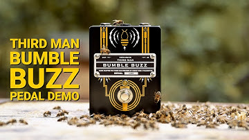 Jack White Third Man Bumble Buzz | Fuzz Pedal Demo