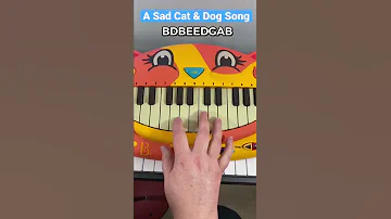 A Sad Cat And Dog Song By Tootymcnooty Shorts 