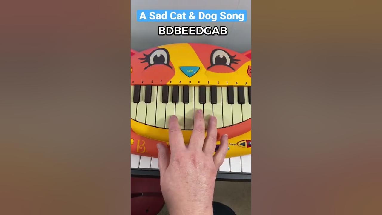 A Sad Cat and Dog Song  🐶🐱😭 by tootymcnooty #shorts