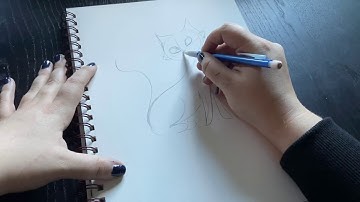 The Illustrator Adventure:  Vashti Harrison