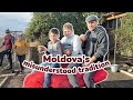Moldovan PIG sacrifice for Christmas 🐖