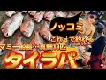 【#爆釣 】女船長の大物爆釣が止まらない…海洋資源保護で自主規制ストップ