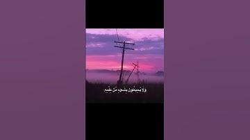 ما تيسر من سورة البقرة 🤍