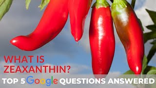 What is Zeaxanthin Top 5 Google Questions Answered