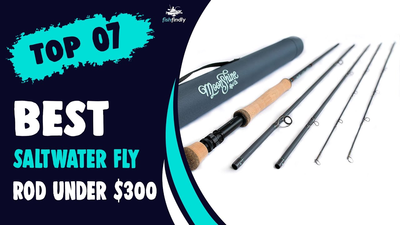 Best Saltwater Fly Rod Under 300 in 2022 – Top & Exclusive