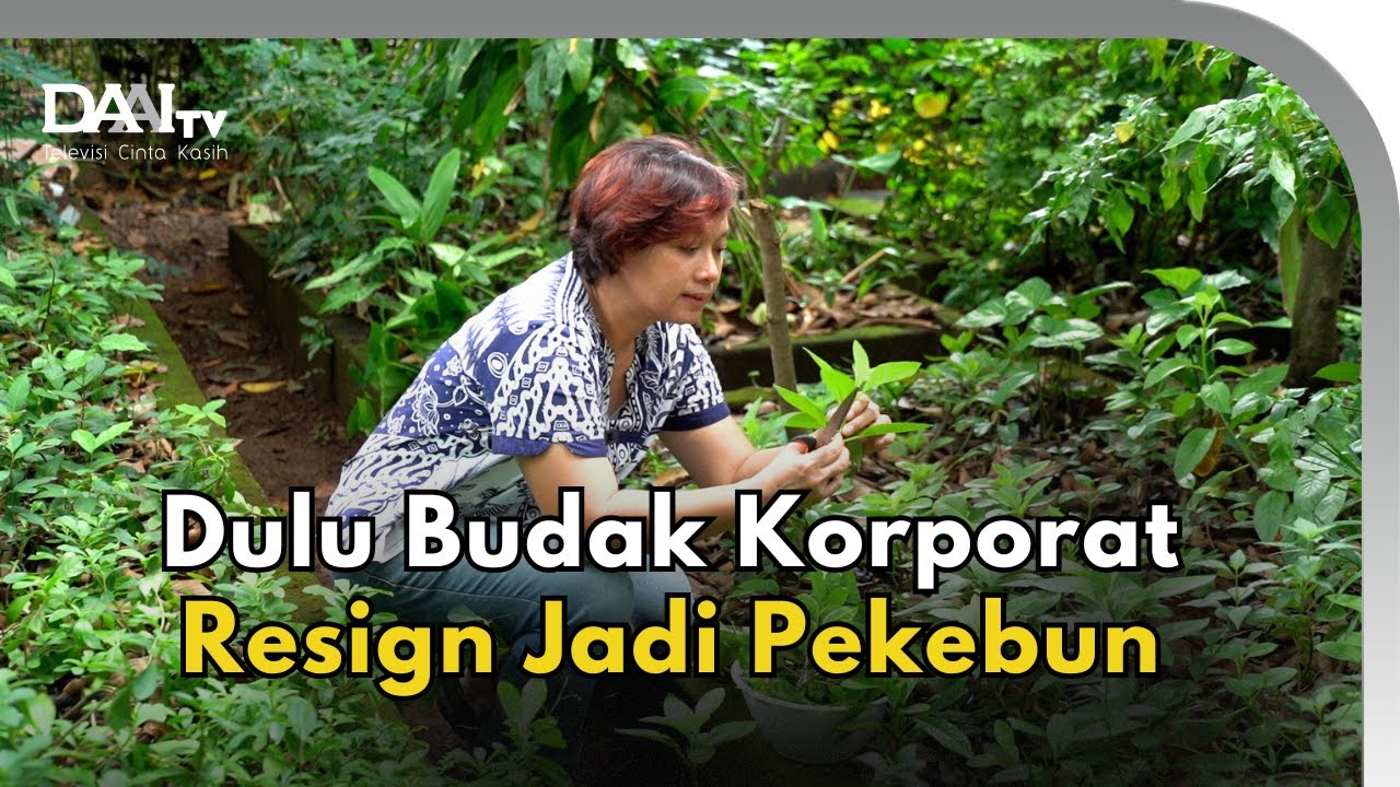 Cerita dari Pekarangan Rinati, Berawal dari Kebun Balkon Mini