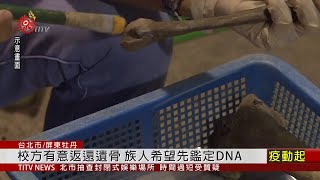 愛丁堡大學4原住民頭骨 應與牡丹社有關 2020-05-01 IPCF-TITV 原文會 原視新聞