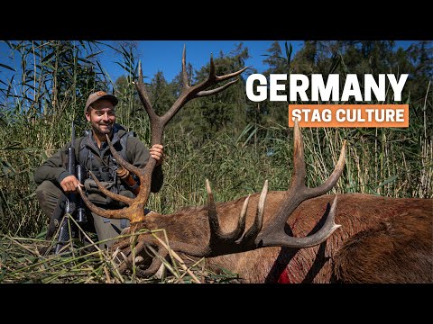 STAG CULTURE DEUTSCHLAND?DER GRÖSSTE HIRSCH,DEN ICH JE GESEHEN HABE ? ROTWILDJAGD zur BRUTZEIT?