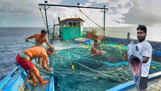 ஆஹா! மூன்றாவது நாட்களாக ஆழ்கடலில் தங்கி சூரை மீன்கள் பிடித்தோம்|Day-03|Deep Sea Fishing|S04-EP04 by Indian Ocean Fisherman இந்திய பெருங்கடல் மீனவன் 115,753 views 13 days ago 9 minutes, 28 seconds