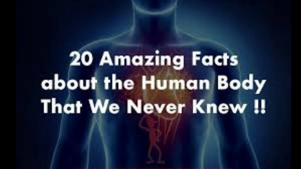 20 amazing facts about human body that you never knew!!! - YouTube