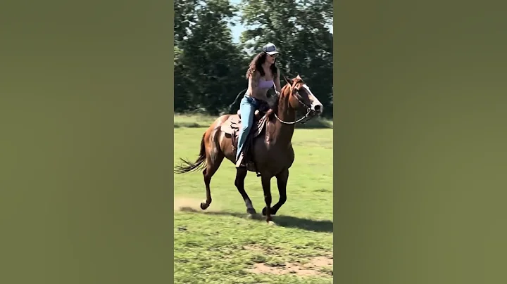 Surprised our daughter with a new pony🥹💖 #shortsvideo #horse #ponymaltay #equestrian