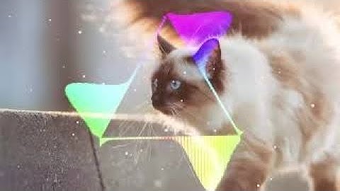 HOT SPOTIFY PLAYLIST 2022 - BEST EDM SONGS OF ALL TIME - MOST POPULAR EDM MUSIC PLAYLIST