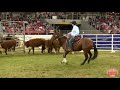 2019 Sydney Royal World Championship Campdraft Rd 6 - Hugh Miles Honey Theyre Achin   90