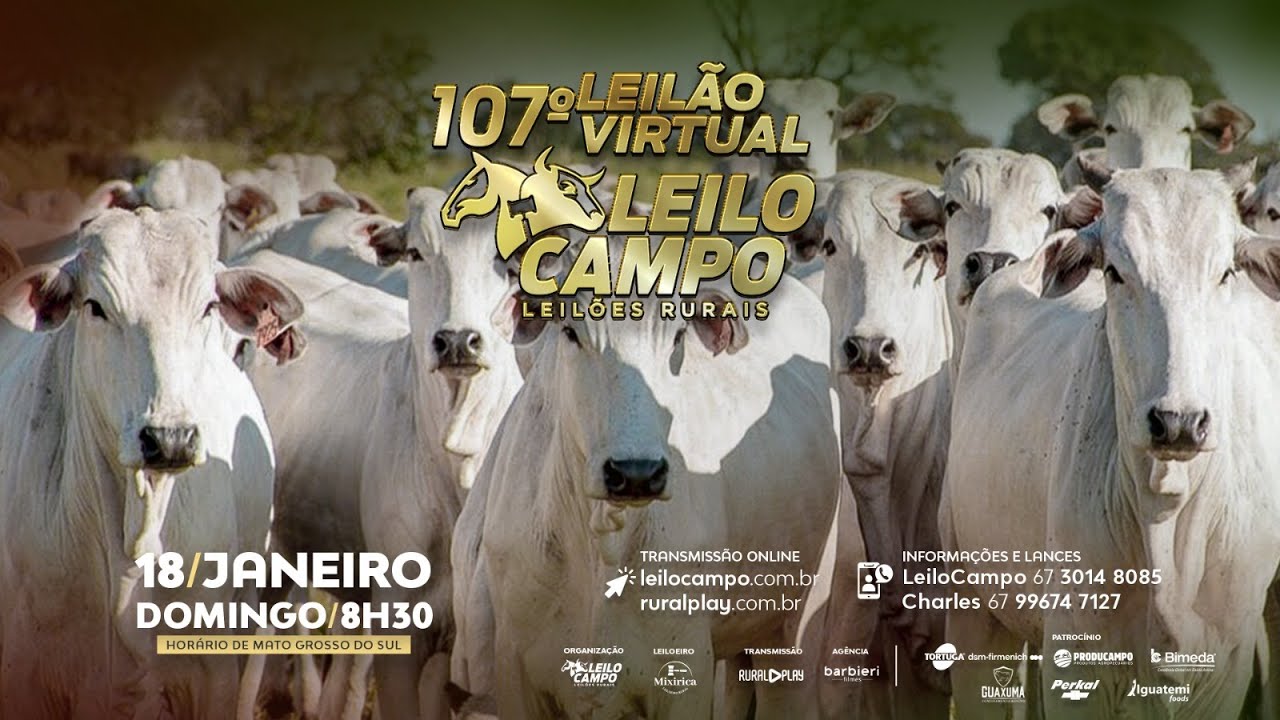 107° LEILÃO VIRTUAL LEILOCAMPO - RIO NEGRO/MS - RURAL PLAY