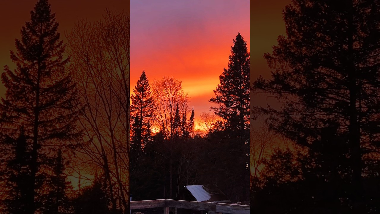 A beautiful Sunset!